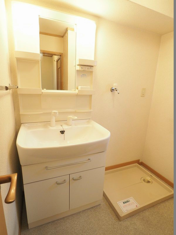 サンシャインブリッジ 室内洗面所にはシャンプードレッサーがあります。