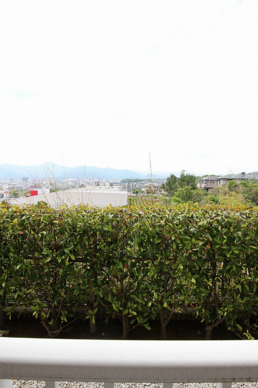 サンシャインブリッジ 眺望