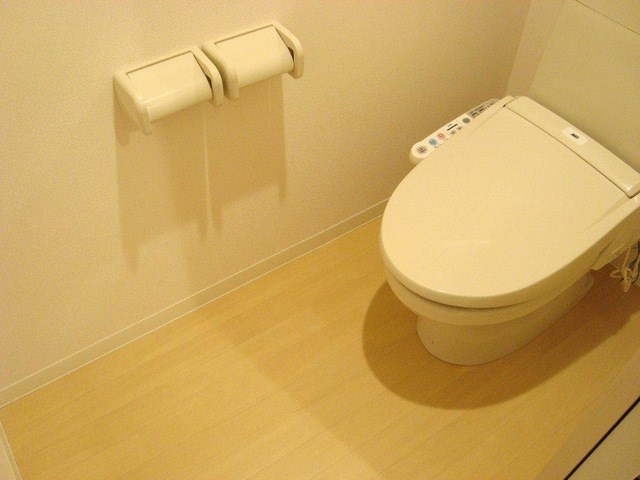 アーバンブルー藤 トイレ