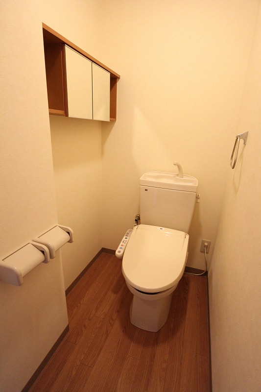 アルビレオB棟  広々したトイレにはあると嬉しい棚付きです。