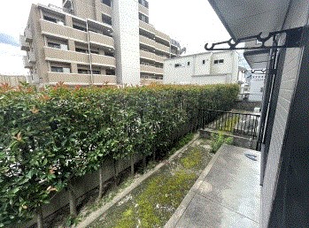 セジュール英（ハナブサ） 専用庭　※別号室参考写真