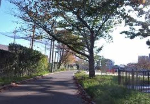 カーサM 美野島公園