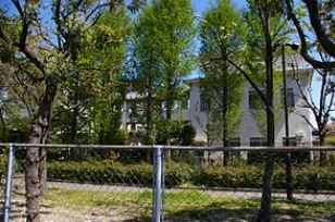 エステムプラザ福岡県庁前ネオシス 福岡中学校