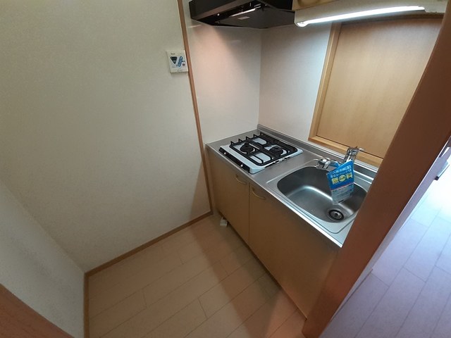プラシード　ヴィラ キッチン