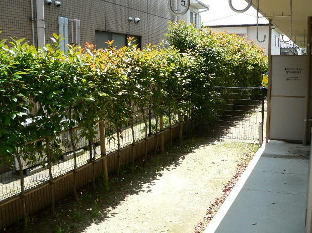 エントピア麦野  バルコニー
