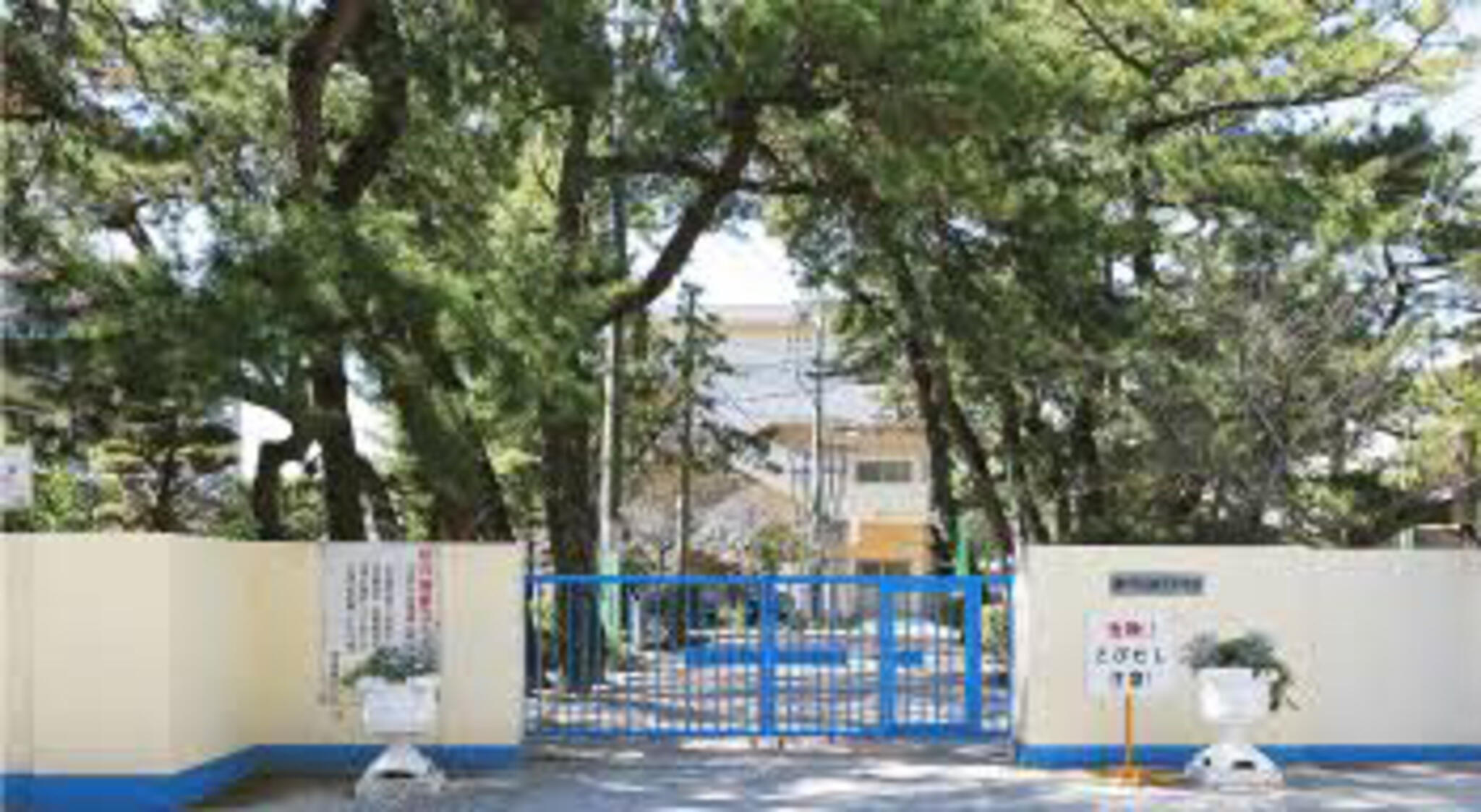マウレイア 福岡市立百道中学校