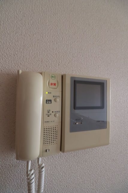 ヴィオレータ セキュリティ