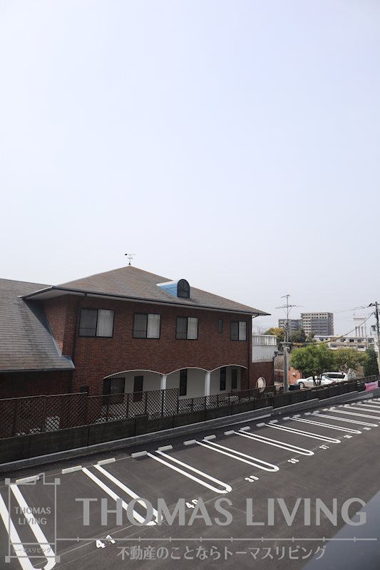 CITRUS TREE 眺望