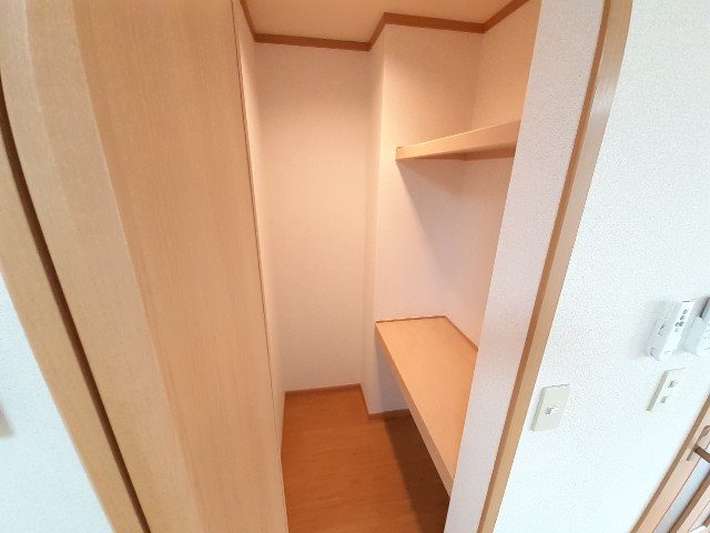 クリスマスローズⅢ 収納