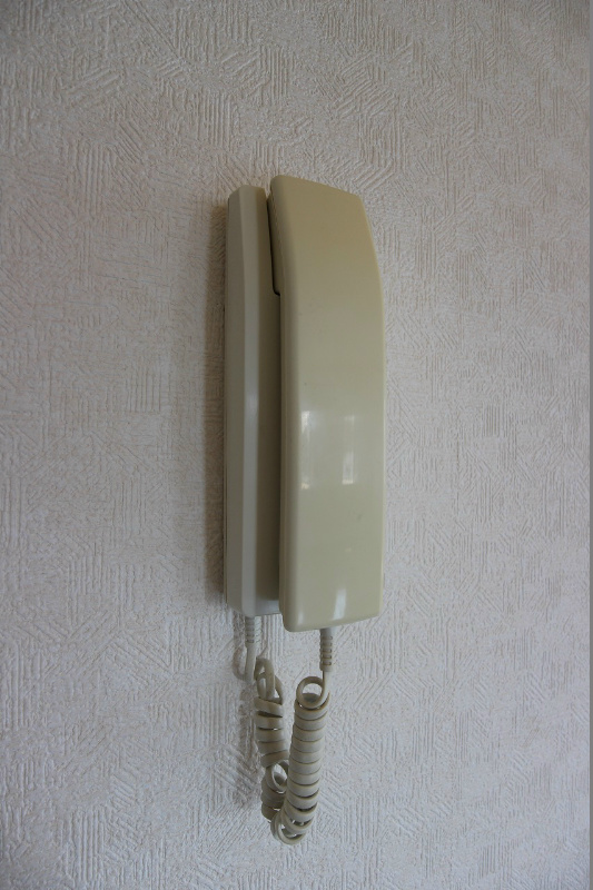 メゾンドプラムⅡ  インターホン