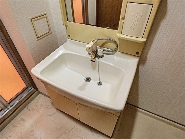 エミューズコートⅡ  洗面所
