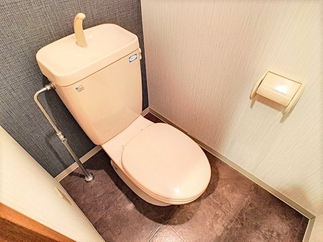 エミューズコートⅡ  トイレ