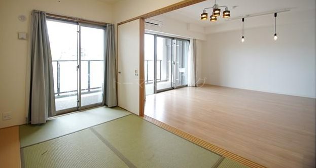 アンピール下大利 その他