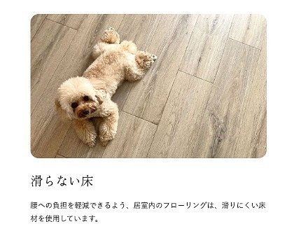 quador Contigo平和 参考