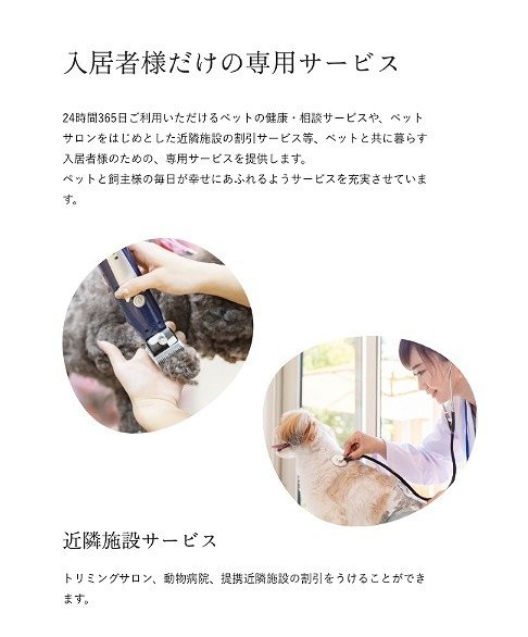quador Contigo平和 参考