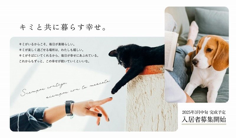 quador Contigo平和 参考