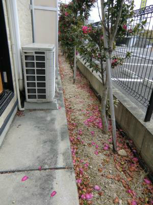 福岡県糟屋郡粕屋町長者原西３丁目5-33 写真は同型タイプ