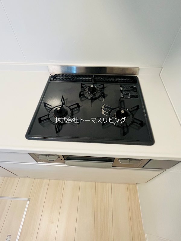 アピリシティⅡ その他